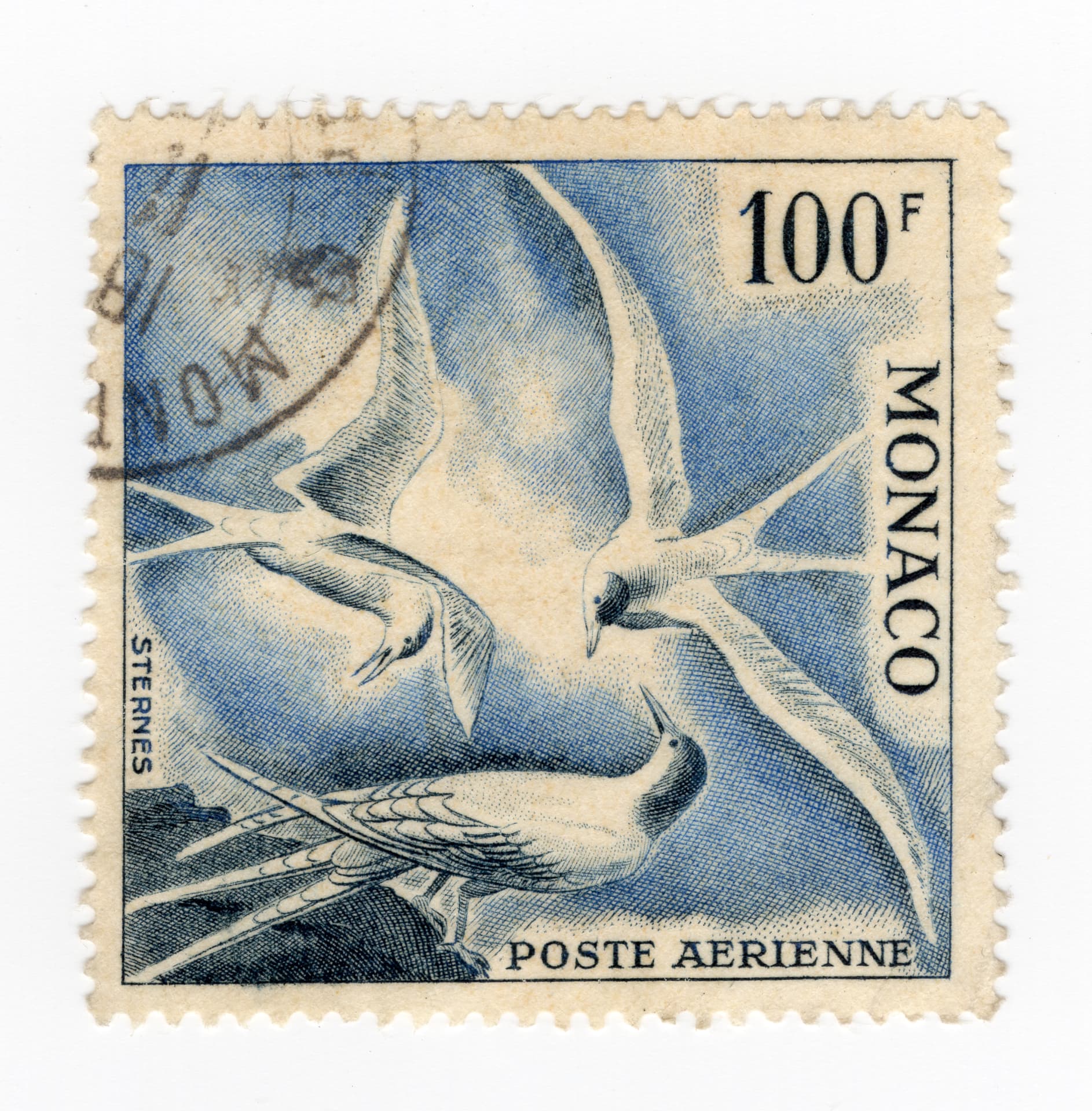 Steel blue Monaco airmail stamp, 100 francs, inscribed Poste Aérienne and Sternes: three terns, two in flight and one perched, partly cancelled